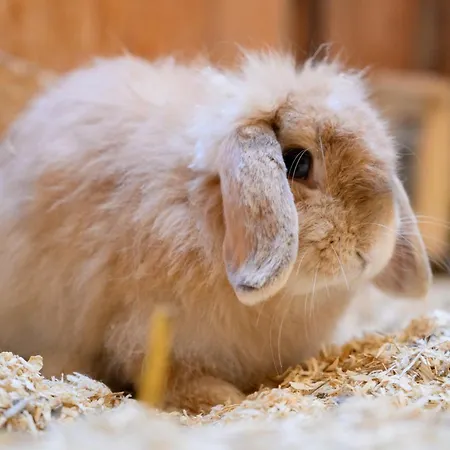 2, Bauernhof Hopp Vadersdorf * Fehmarn