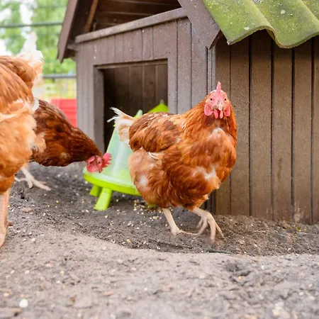 Appartement 2, Bauernhof Hopp Vadersdorf *